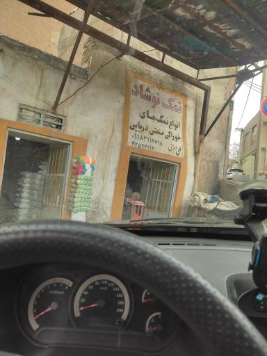 عکس نمک نوشاد 