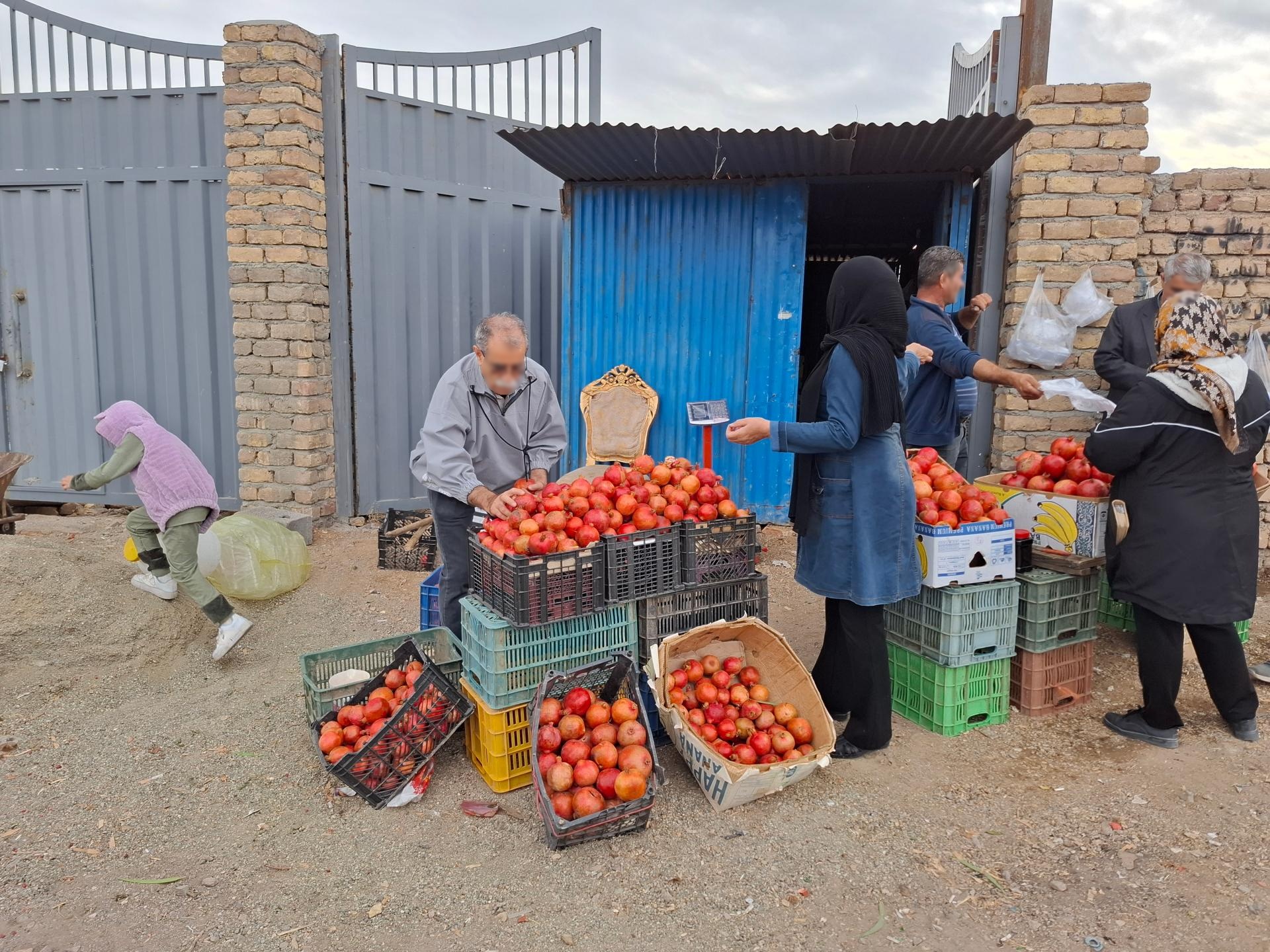 عکس مرکز فروش انار آقای اسدی