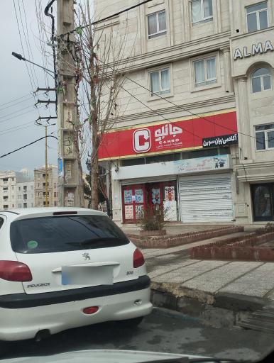 عکس فروشگاه جانبو