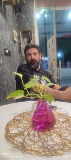 عکس کافه شهرزاد