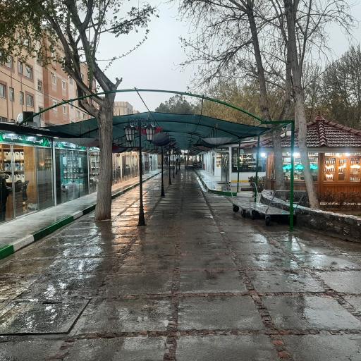 عکس پخش زعفران مرکزی سفیرا