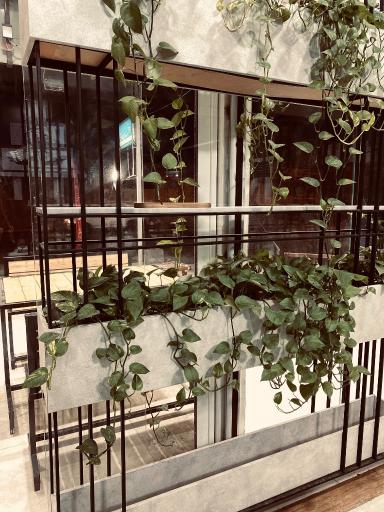 عکس پیتزا ایفل