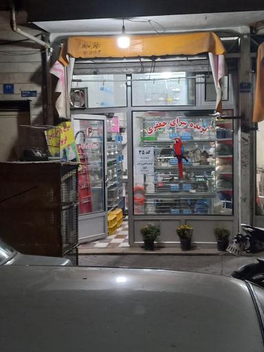 عکس پرنده سرای جعفری