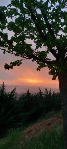 عکس پارک کوهستان