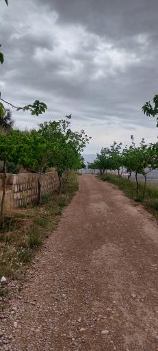 عکس پارک کوهستان