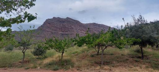 عکس پارک کوهستان