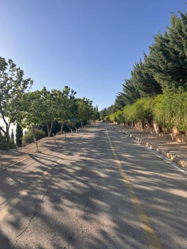 پارک کوهستان