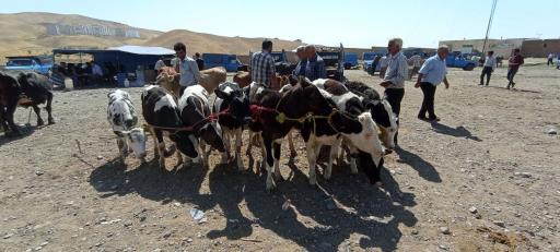 عکس بازار دام صوفیان