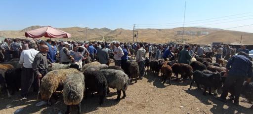 عکس بازار دام صوفیان