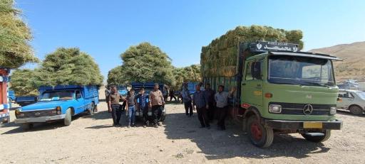 عکس بازار دام صوفیان