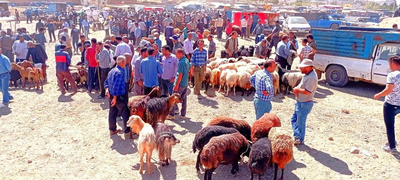 عکس بازار دام صوفیان