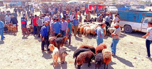 عکس بازار دام صوفیان