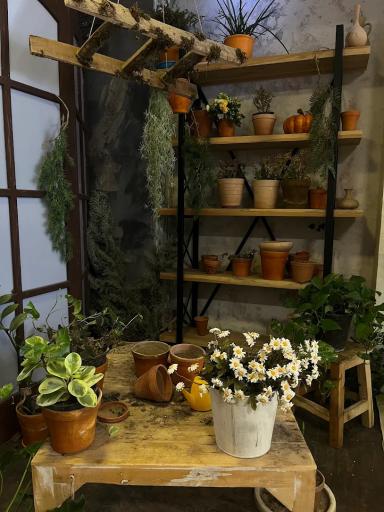 عکس آتلیه عکاسی کودک و نوزاد کودکی