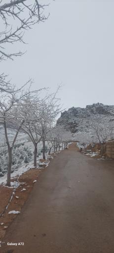 عکس پارک کوهستان