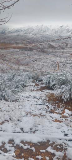 عکس پارک کوهستان