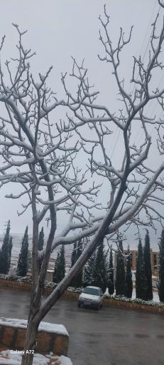 عکس پارک کوهستان