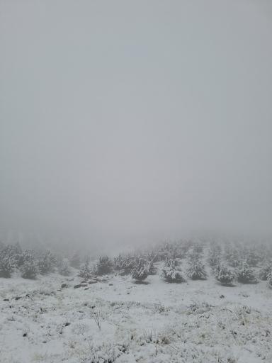 عکس پارک کوهستان