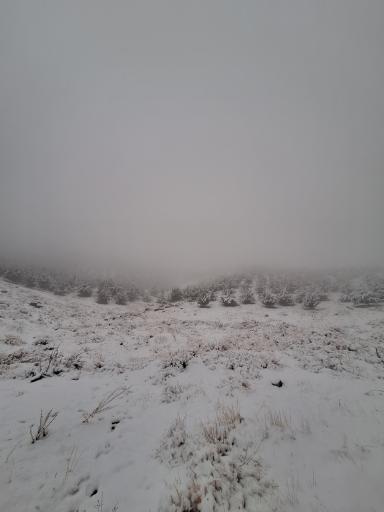 عکس پارک کوهستان