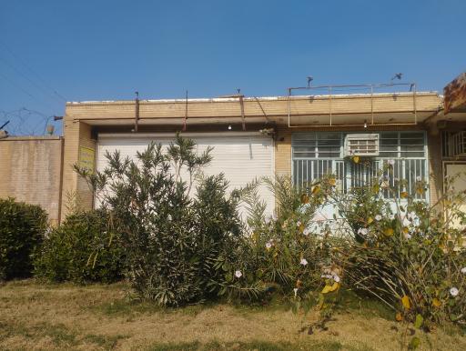 عکس فروشگاه مجاز اسلحه و مهمات و اسلحه شکاری