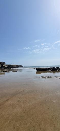 عکس اسکله رمین