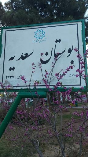 عکس بوستان سعدیه