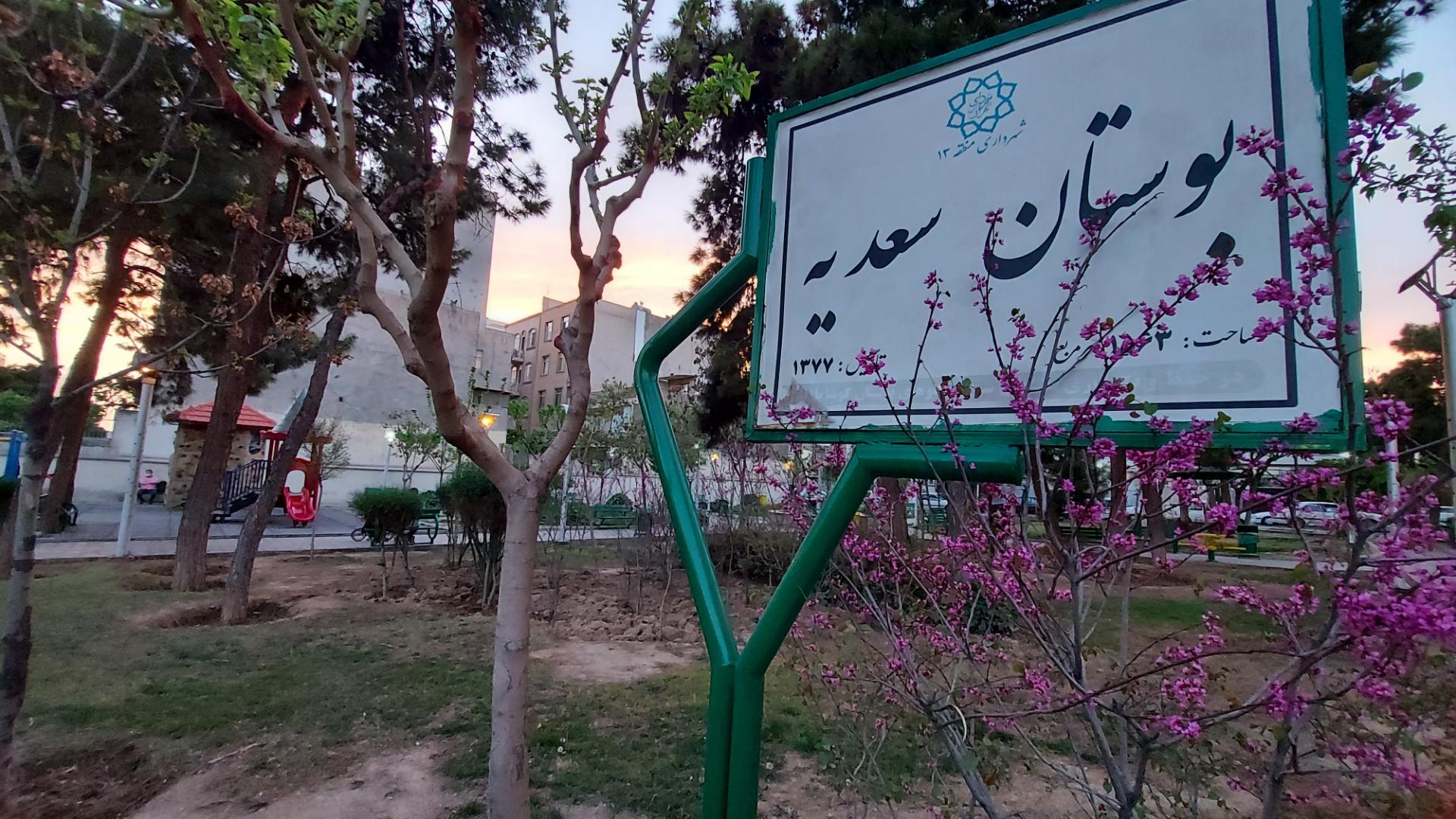 عکس بوستان سعدیه