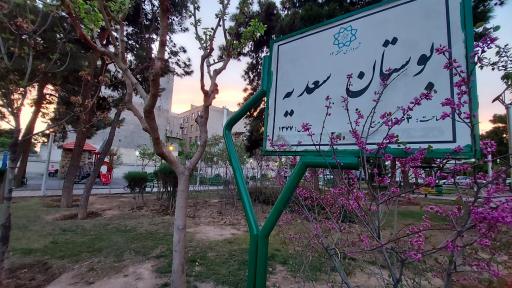 عکس بوستان سعدیه