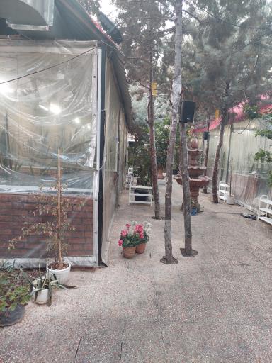 عکس چلوپزی زعفرون