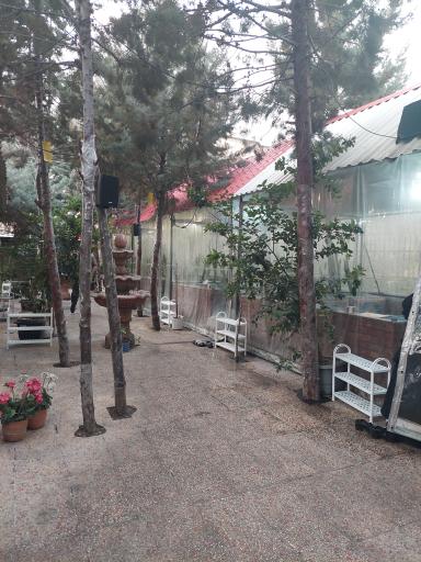 عکس چلوپزی زعفرون