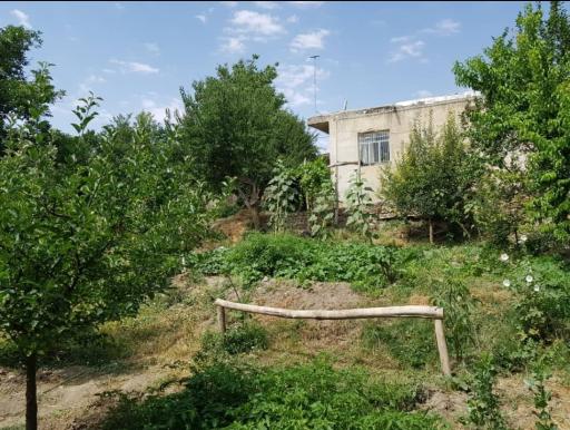 عکس نیماور