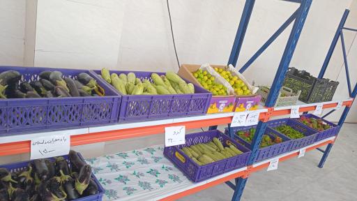 تره بار پیام