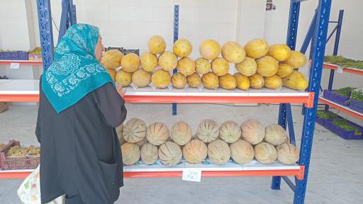 عکس تره بار پیام