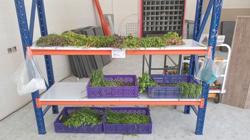 تره بار پیام