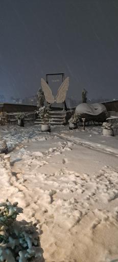 عکس کافه رستوران پئونیا