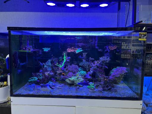 عکس آکواریوم مارین لند