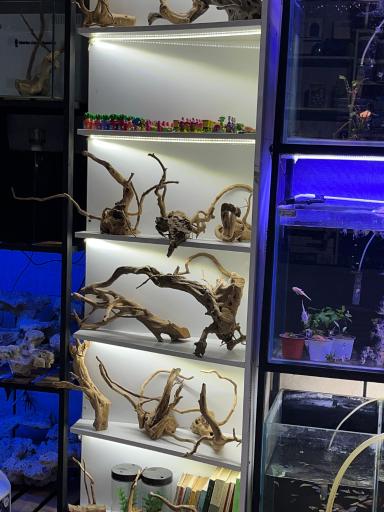 عکس آکواریوم مارین لند