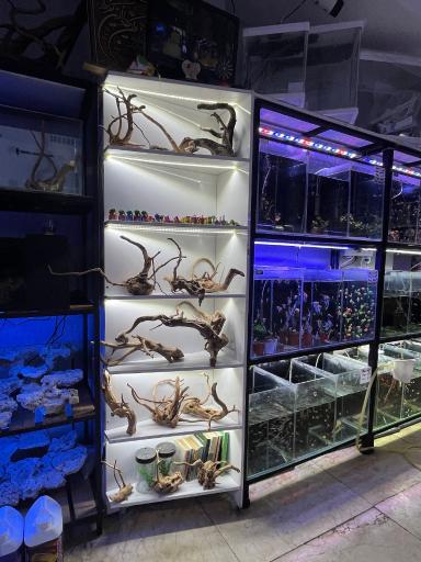 آکواریوم مارین لند