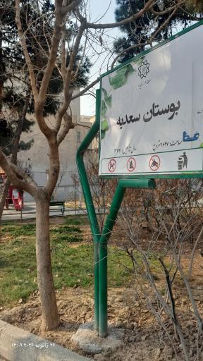 عکس بوستان سعدیه