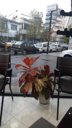 عکس بیمه ایران مجید ندیمی