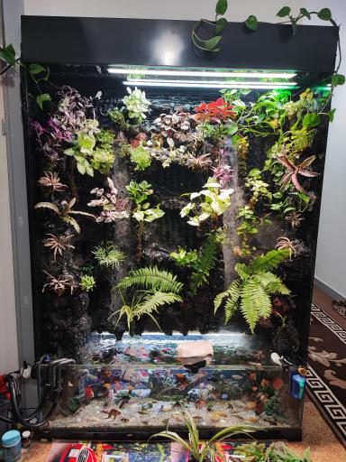 عکس آکواریوم طبیعت 