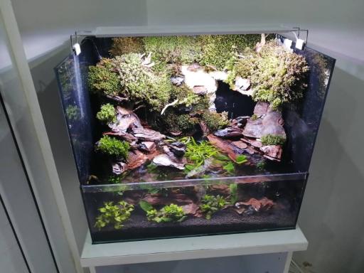 عکس آکواریوم طبیعت 