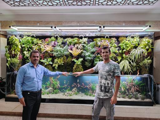 عکس آکواریوم طبیعت 