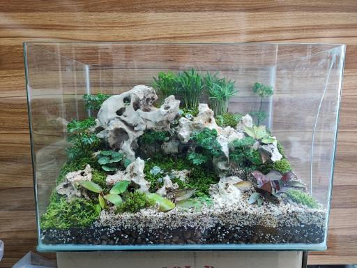 عکس آکواریوم طبیعت 