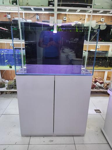 عکس آکواریوم طبیعت 