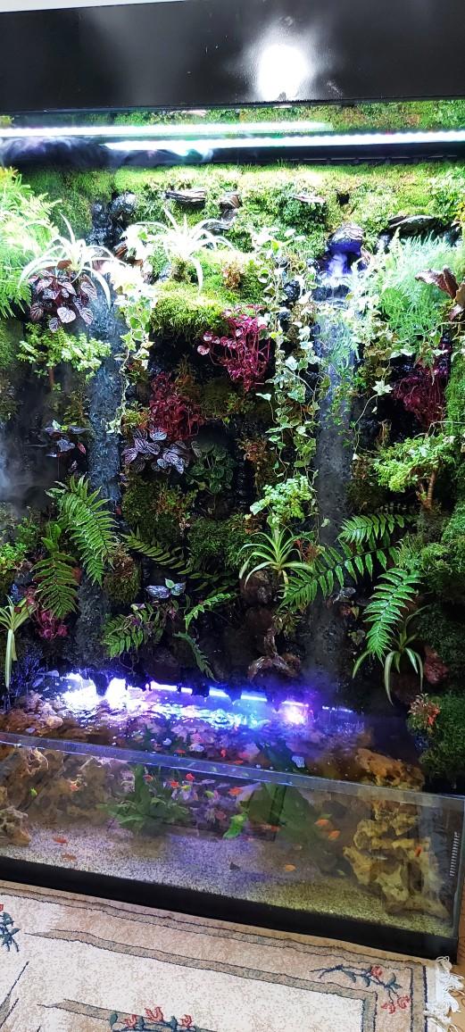 عکس آکواریوم طبیعت 