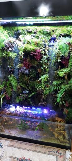 عکس آکواریوم طبیعت 