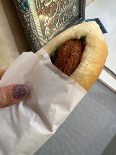 عکس فلافل ابو سید 