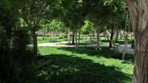 عکس بوستان خلیج فارس