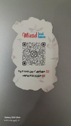 عکس پرنده سرای میعاد