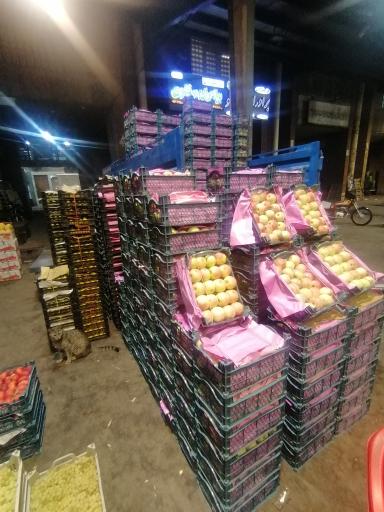 عکس حجره آقاجانی